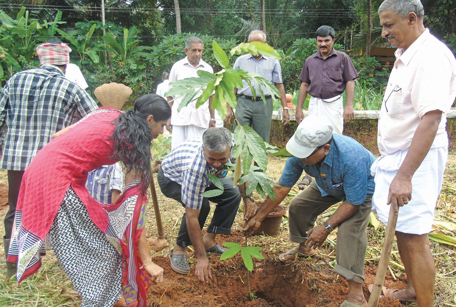 PDG V G Nayanar, D 3202, planting a sapling in an arboretum.