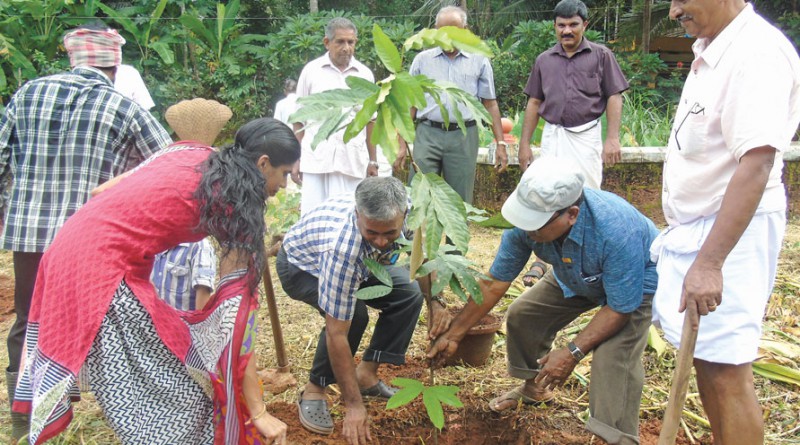 PDG V G Nayanar, D 3202, planting a sapling in an arboretum.