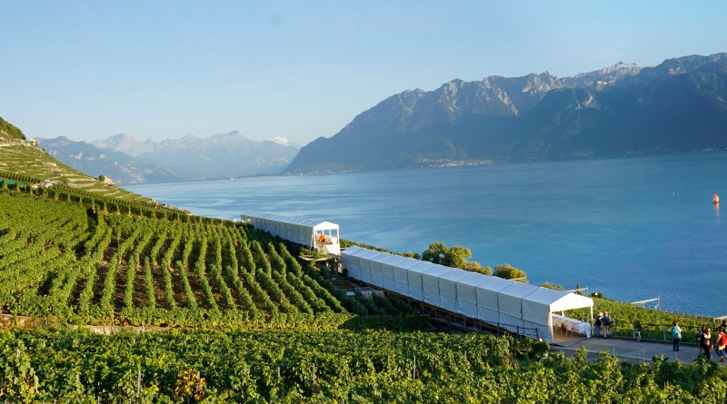 A makeshift boat-like tent in a vineyard on the banks of Lake Geneva.