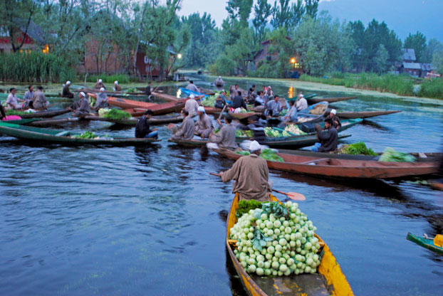 A floating vegetable market on Dal Lake.