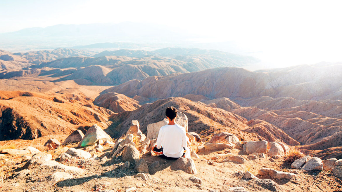 Lead an examined life