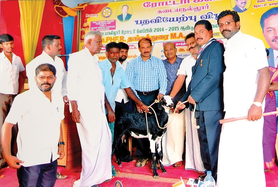  RC Kadayanallur RI District 3212 <br/> Goats donated to poor villagers to help them earn a living.
