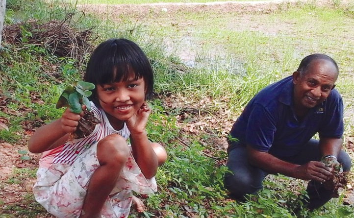 A little girl collecting seedlings for the Rotary tree planting project.