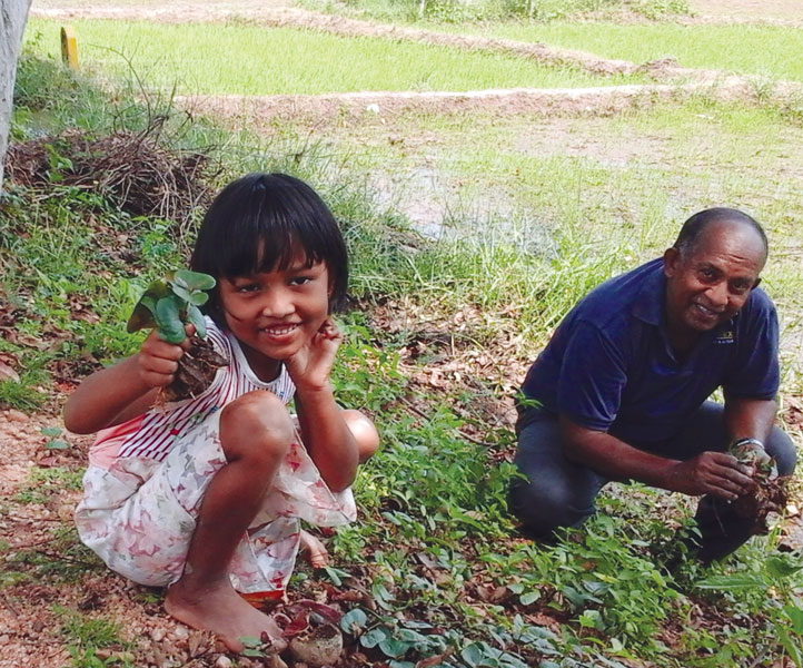 A little girl collecting seedlings for the Rotary tree planting project.