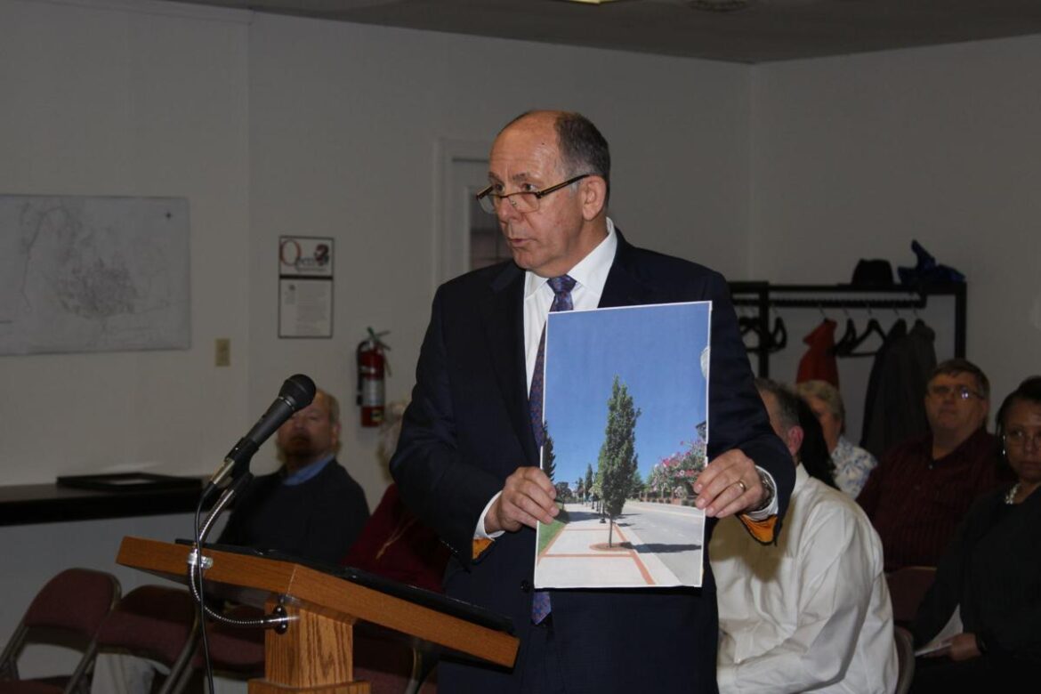 Rotary moves local council for replacing ageing trees