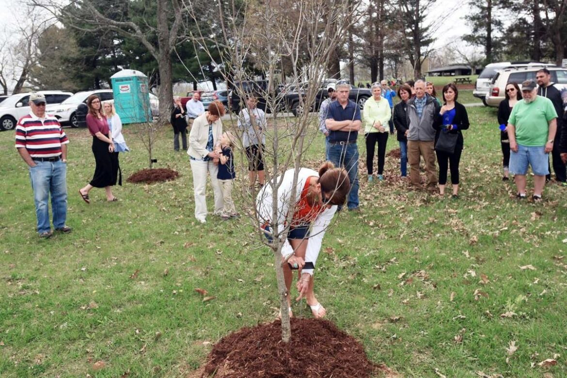 Rotary club dedicates trees in memory of residents