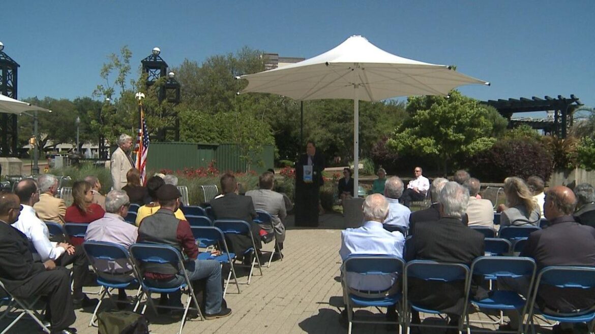 Giant umbrellas donated to riverside park