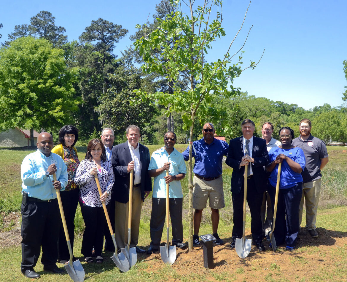 Rotary plants trees for future generations