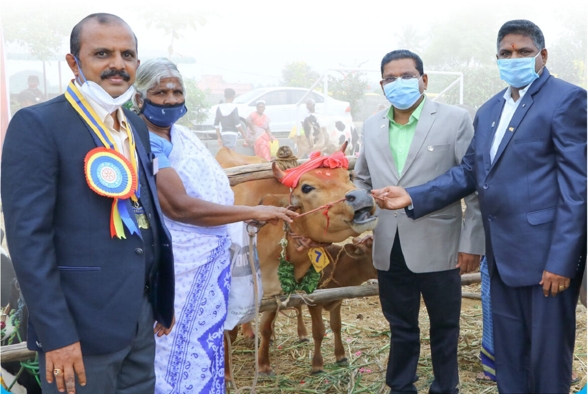 RC Rasipuram donates cows to transform lives of rural women