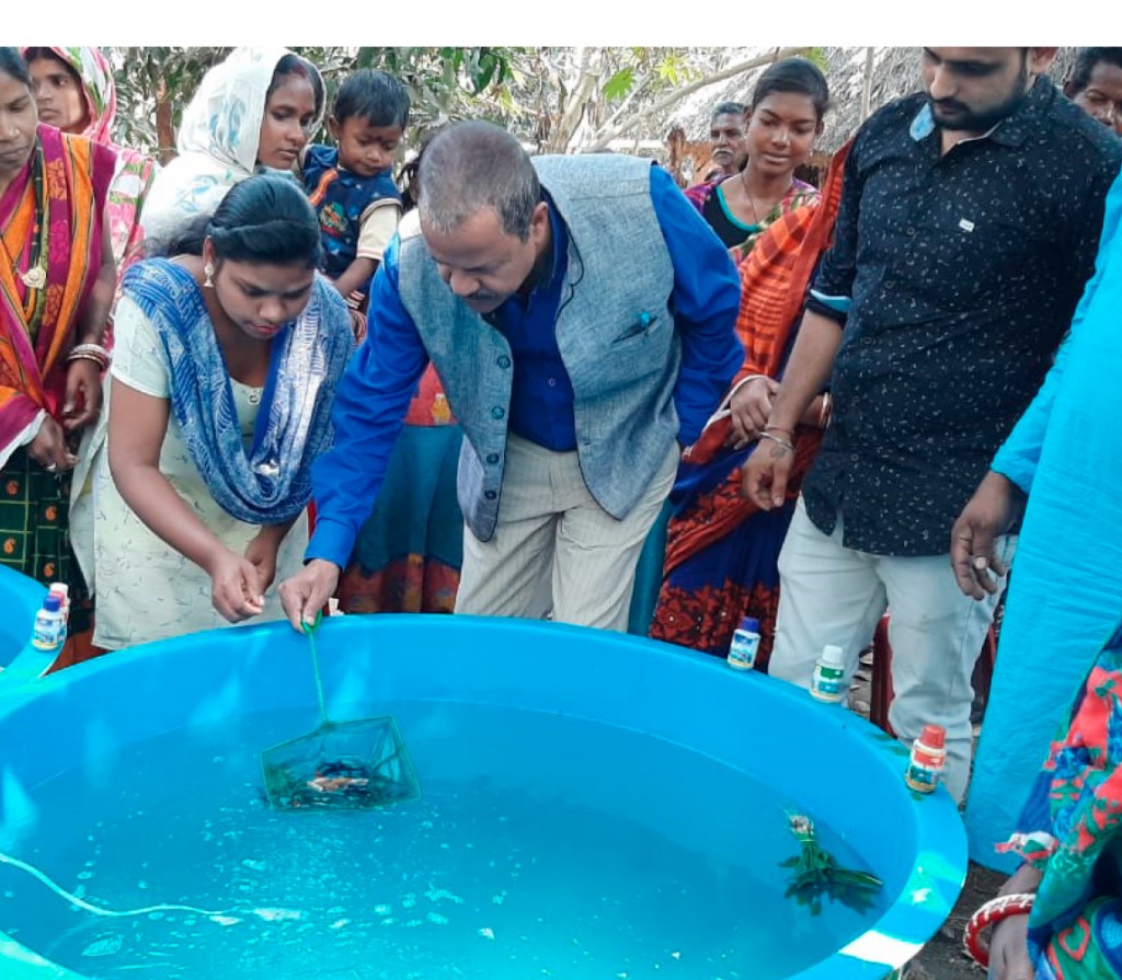 Women get trained in fish farming.