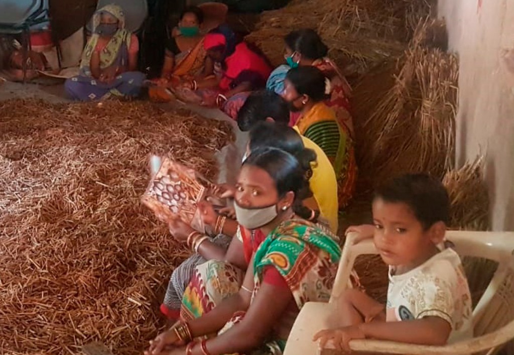 Women in Damana Basti near Bhubaneswar being trained in mushroom cultivation.