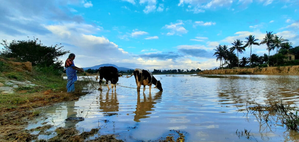 A photo contest helps fund mega projects in RID 3190