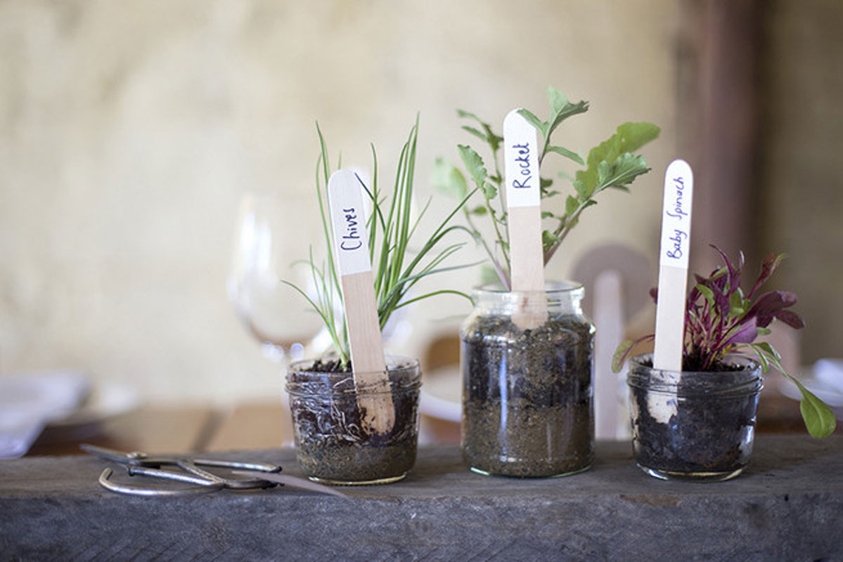 Eco-Friendly-Wedding-Favor-Ideas-herbs