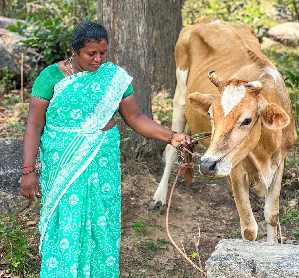 A woman with a milch cow given by the club. 