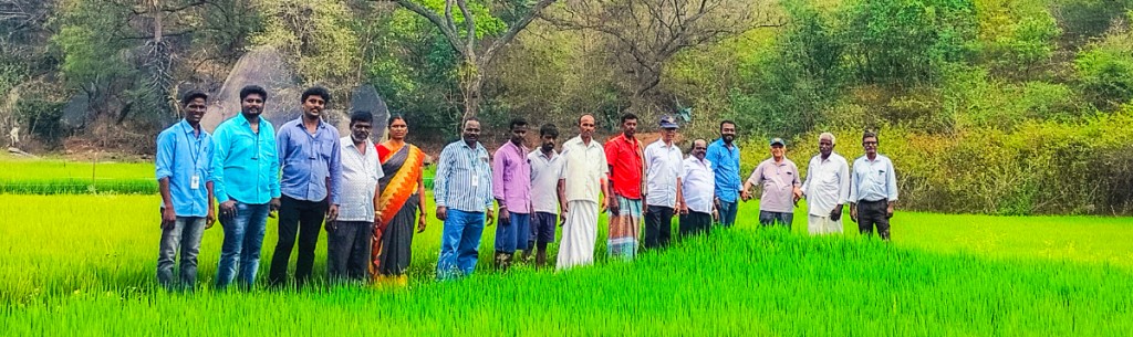 Rotarians and villagers in the fertile paddy fields of Kuppachiparai.