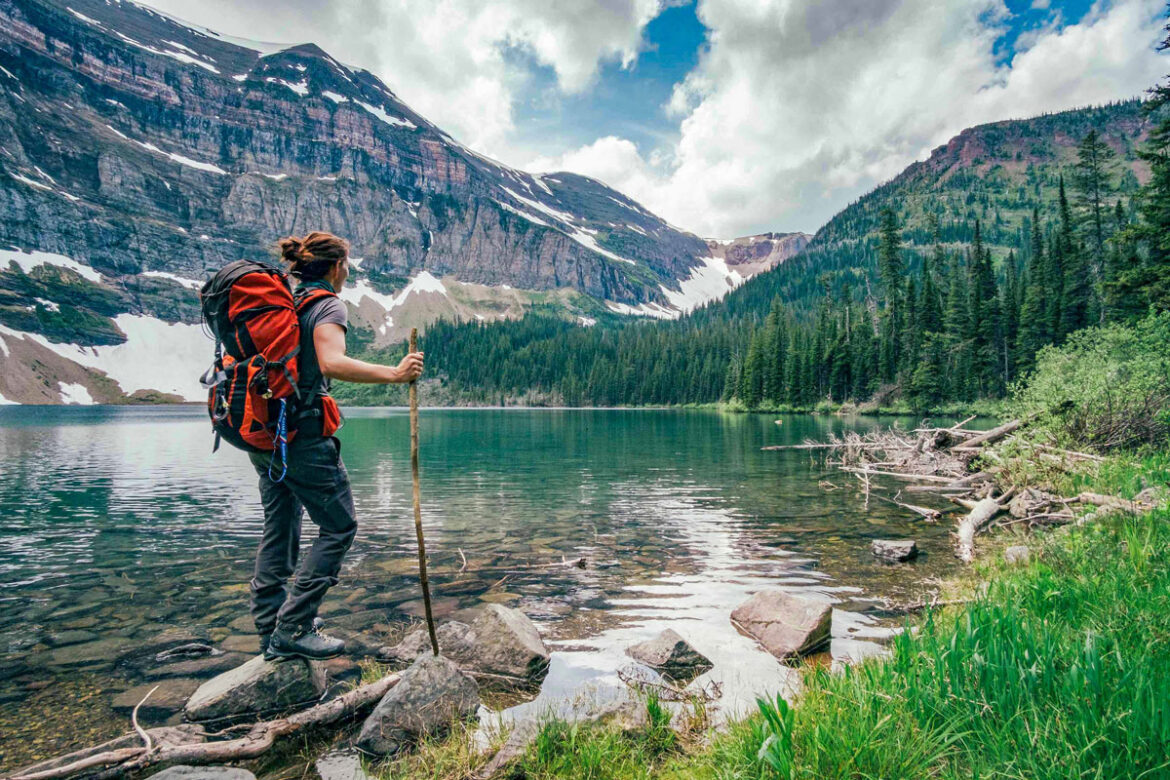 Detoxifying the brain