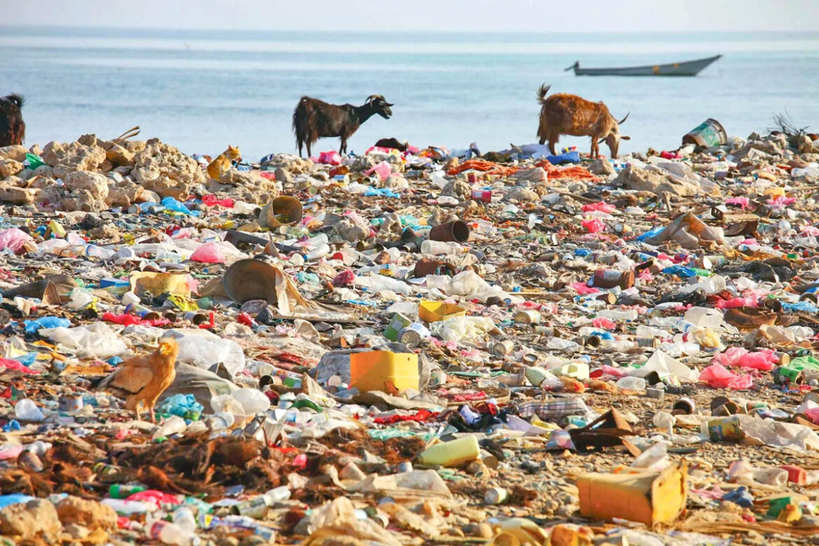 How to say no to plastic