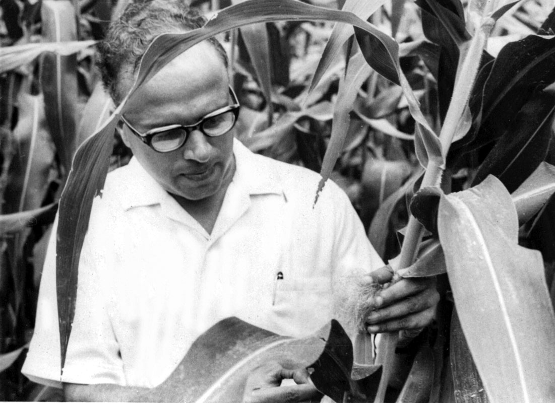 Renowned agricultural scientist M S Swaminathan. 
