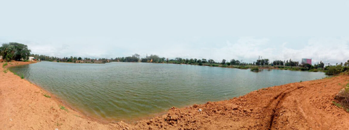Water divining Rotarians of RC Bangalore South Parade