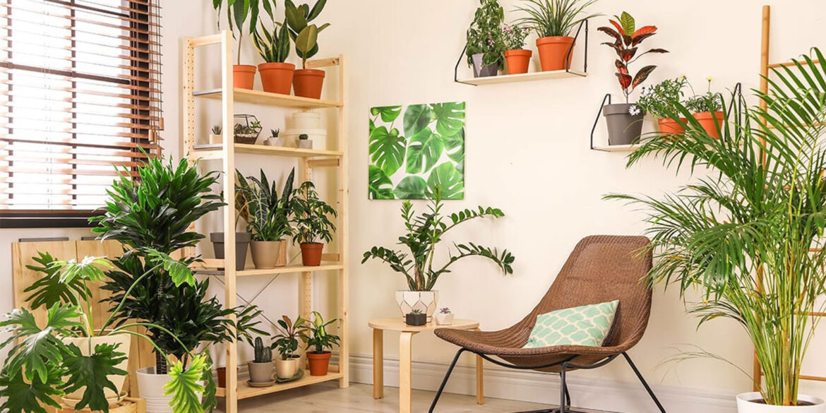 Strategies to beat the summer heat