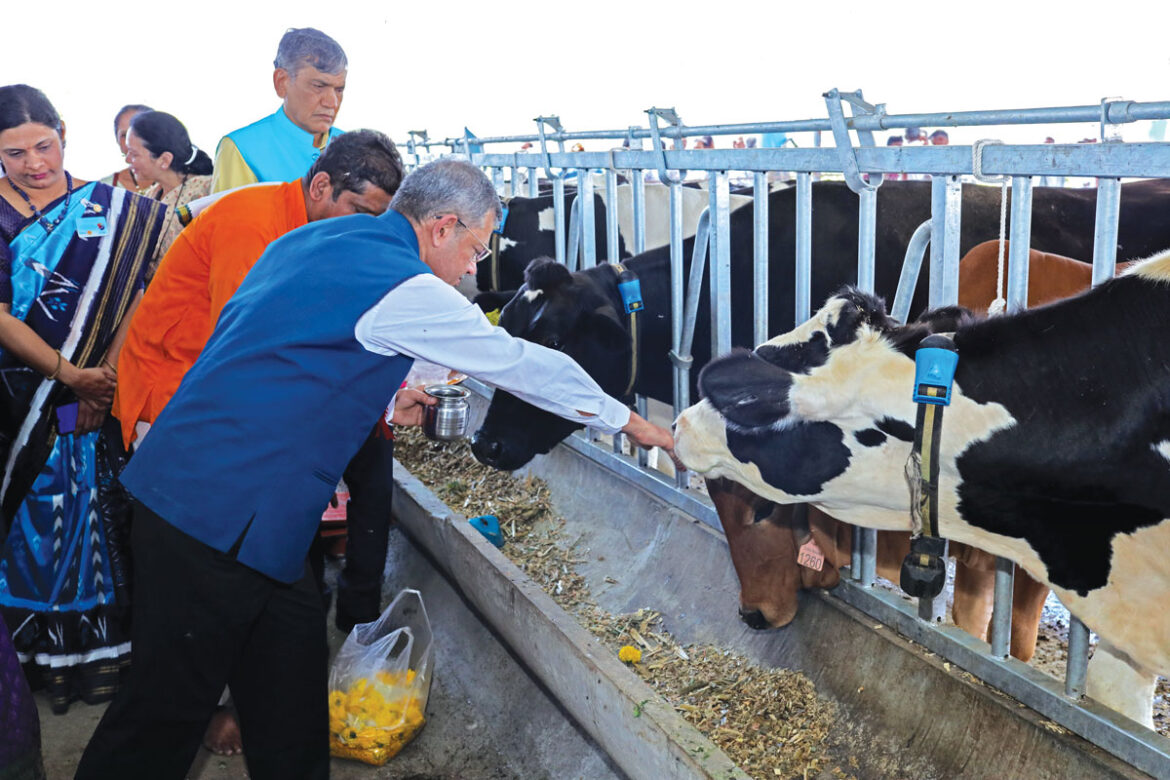 Sustainable livelihood project for mentally disturbed women