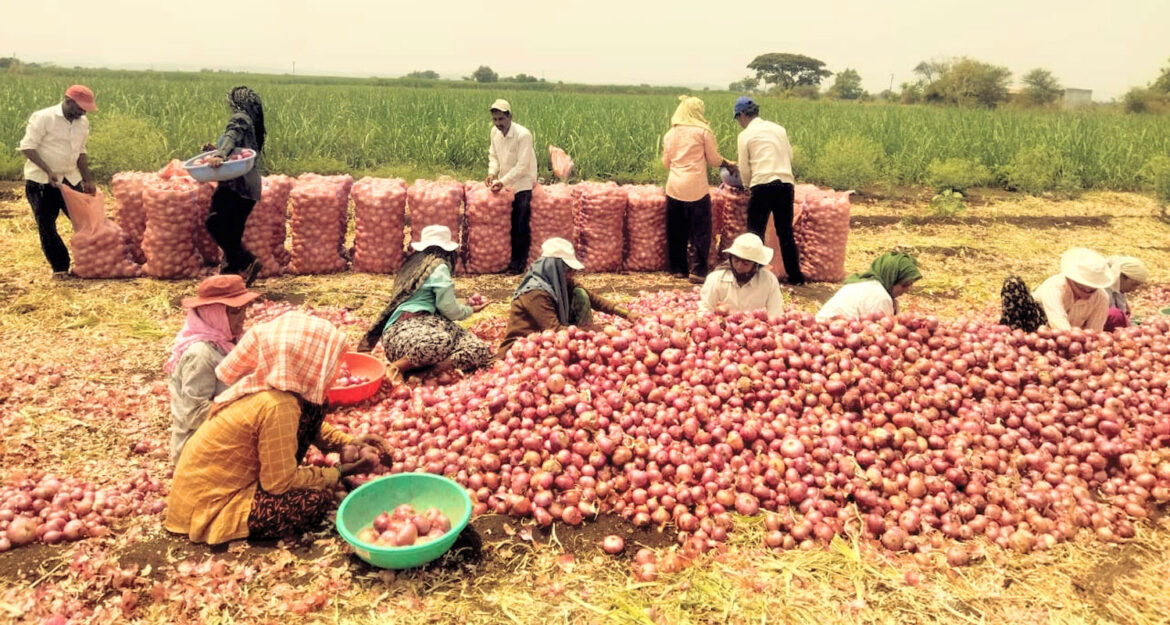 From rural farms to urban forks