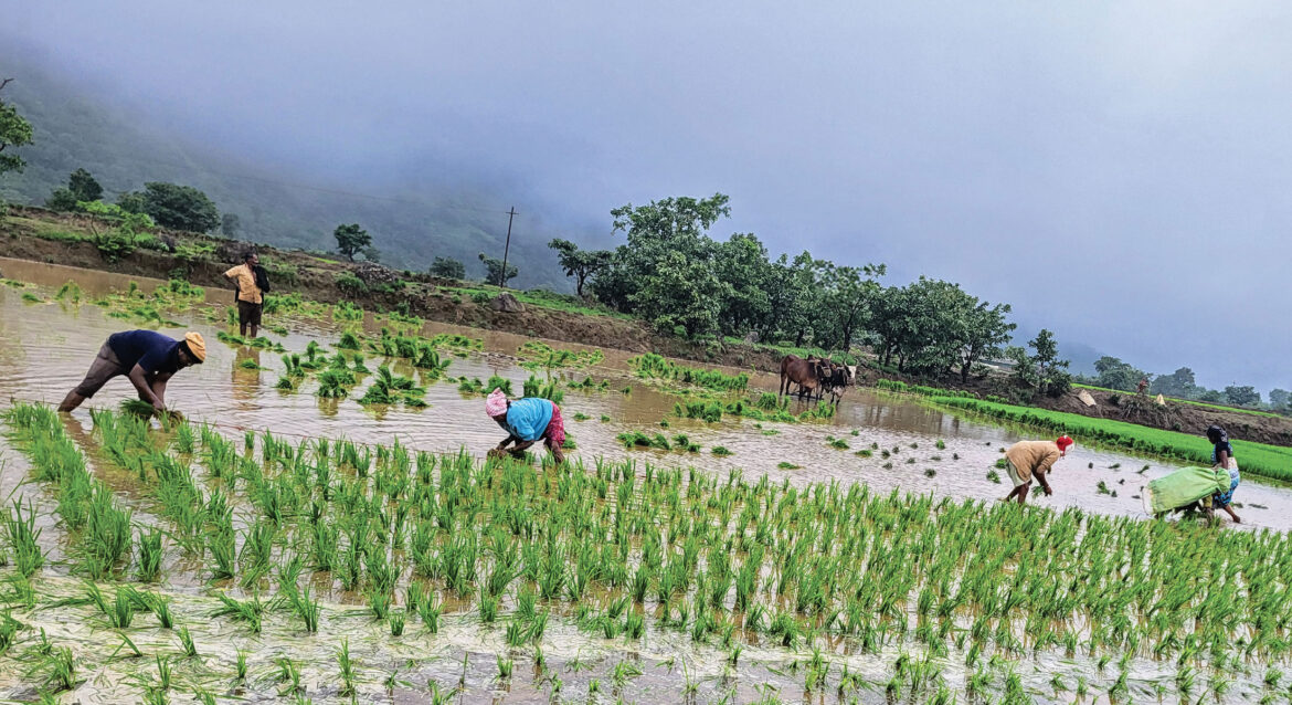 Cabin Schools of Pune